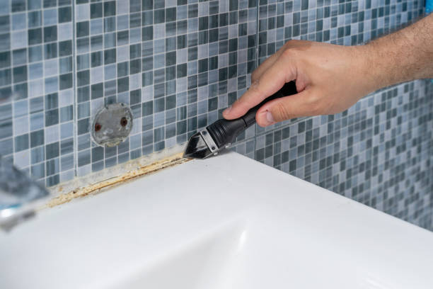Best Best Mold Removal Companies  in Hagerman, ID